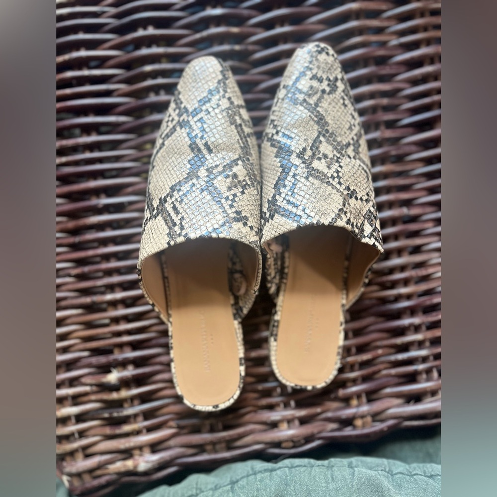 Banana Republic Snake Skin Mules